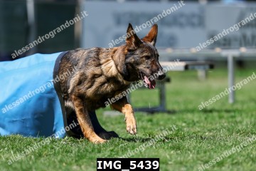 IMG_5439.jpg