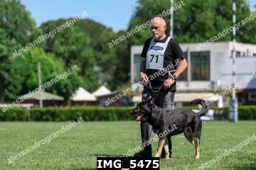 IMG_5475.jpg
