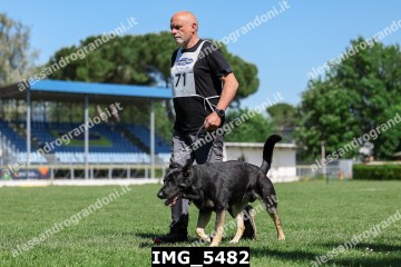 IMG_5482.jpg