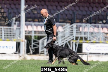IMG_5485.jpg