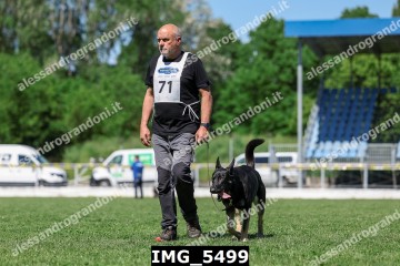 IMG_5499.jpg