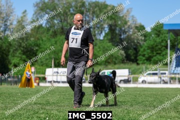 IMG_5502.jpg