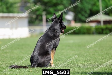 IMG_5503.jpg