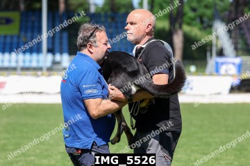 IMG_5526.jpg