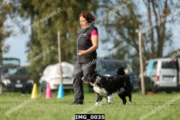 IMG_0035.jpg