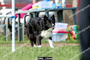 IMG_1544.jpg