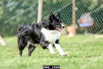 IMG_1560.jpg