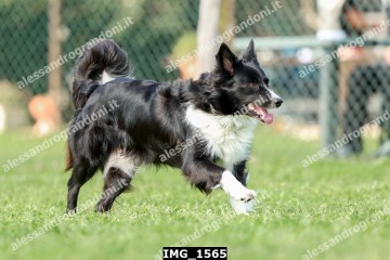 IMG_1565.jpg