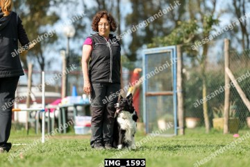 IMG_1593.jpg