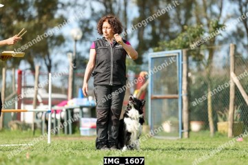 IMG_1607.jpg