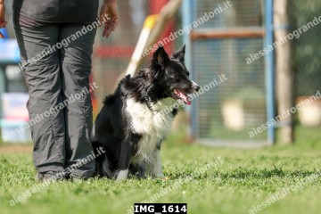 IMG_1614.jpg