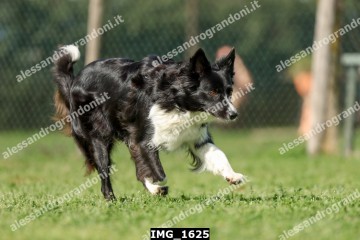 IMG_1625.jpg