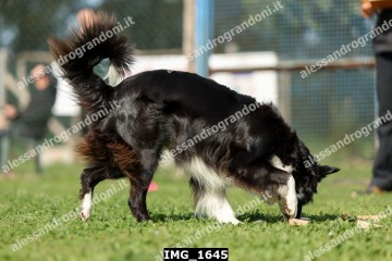 IMG_1645.jpg