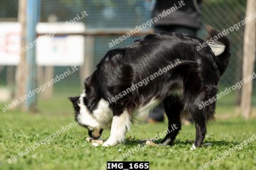 IMG_1665.jpg