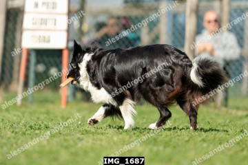 IMG_1687.jpg