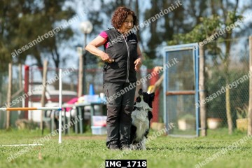 IMG_1718.jpg