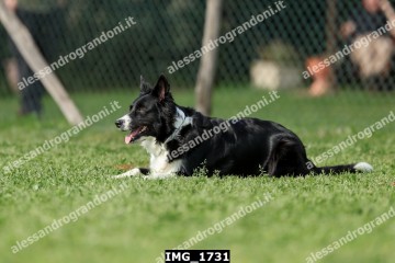IMG_1731.jpg