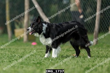 IMG_1737.jpg