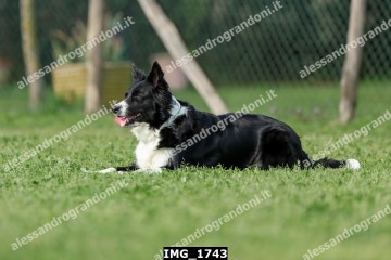IMG_1743.jpg