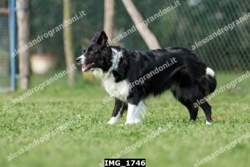 IMG_1746.jpg