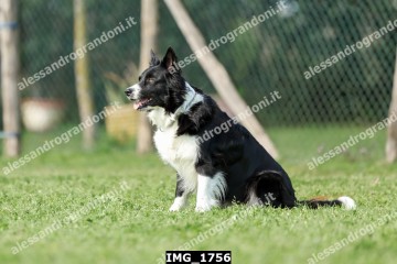 IMG_1756.jpg