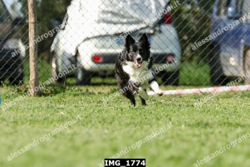 IMG_1774.jpg