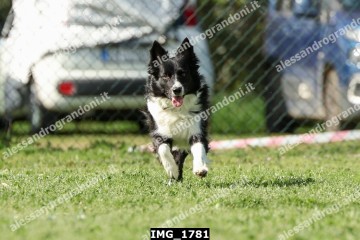 IMG_1781.jpg