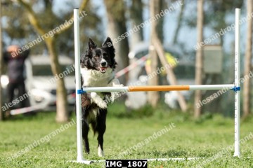 IMG_1807.jpg