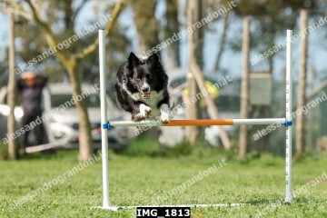 IMG_1813.jpg