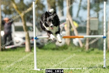 IMG_1814.jpg