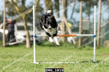 IMG_1815.jpg