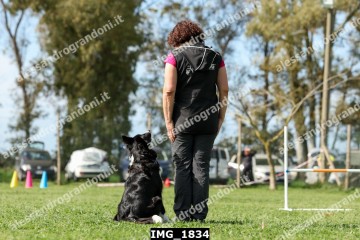IMG_1834.jpg