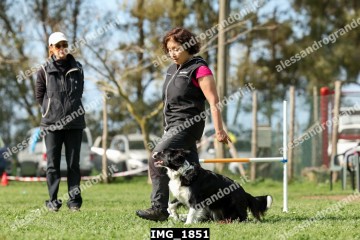 IMG_1851.jpg