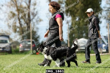 IMG_1861.jpg