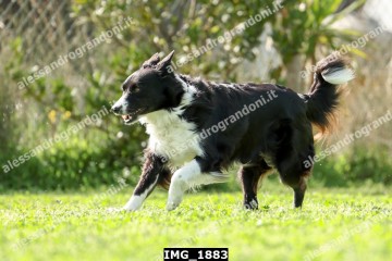 IMG_1883.jpg