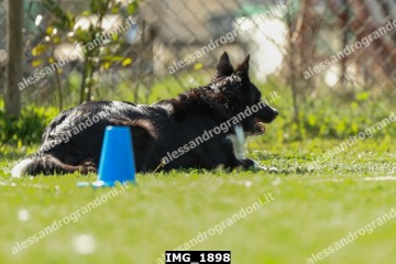 IMG_1898.jpg
