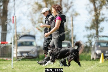 IMG_1930.jpg