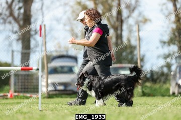 IMG_1933.jpg