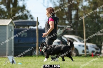 IMG_1939.jpg