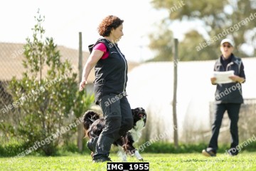 IMG_1955.jpg