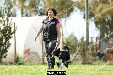 IMG_1960.jpg