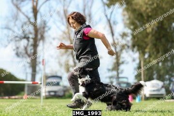 IMG_1993.jpg