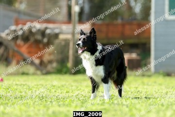 IMG_2009.jpg