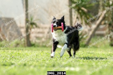 IMG_2014.jpg