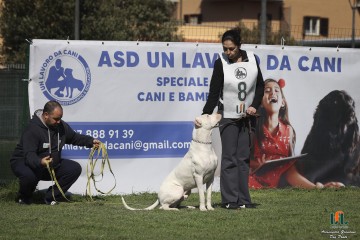 496A4863.jpg