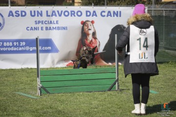496A5114.jpg