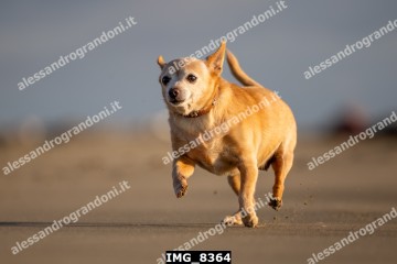 IMG_8364.jpg