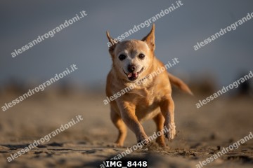 IMG_8448.jpg