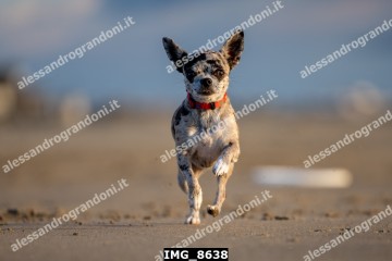 IMG_8638.jpg