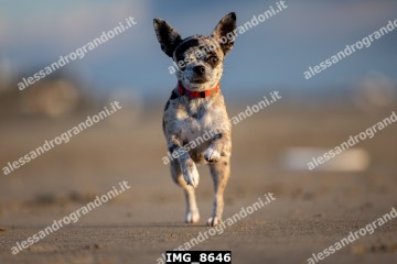 IMG_8646.jpg